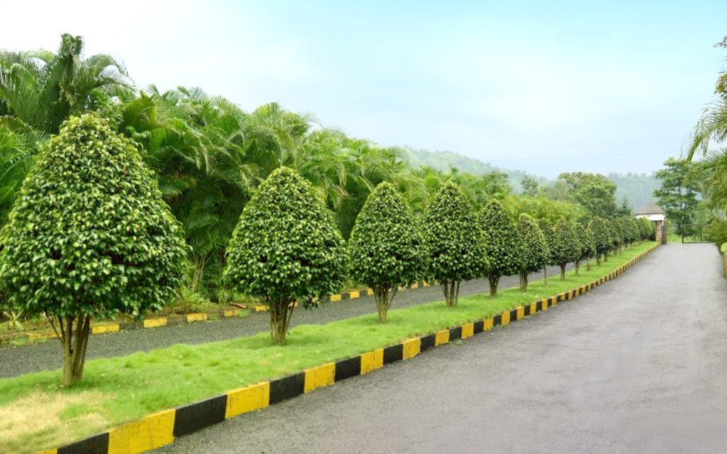 Common Entry In The Society